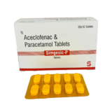 SIMGESIC-P